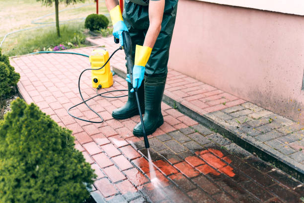 Animal Enclosure Cleaning in Newport, SC